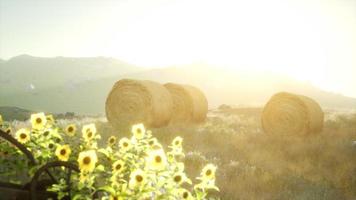 hay bales in the sunset video