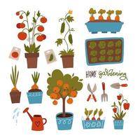 Seeds and seedlings set. Germination of sprouts. Tools, pots and soil for planting. Collection of gardening elements isolated vector illustration on white background