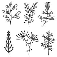 colección vectorial de elementos botánicos. ramitas con hojas, flores, hierbas, bayas. garabato dibujado a mano. fino contorno negro de la planta. iconos aislados en blanco. boceto de rama, monocromo. vector