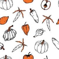 Vegetables and fruits seamless vector pattern. Hand drawn doodle on a white background. Colored abstract spot on the food contour. Harvest sketch. Carrot, pepper, lemon, pumpkin, apple, garlic.