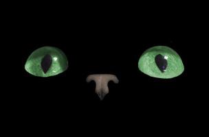 ojos de gato. los ojos de gato verdes brillan en la oscuridad sobre un fondo negro.