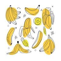 Set of banana linear icons on white background. Line doodle drawing style with abstract shapes. vector