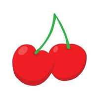 cherry fruit vector