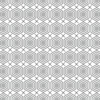 Seamless geometric ornamental vector in illustration pattern. Abstract background