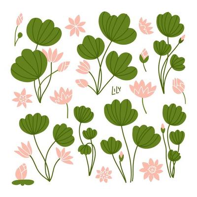 Green lily pads with Lotus flowers. Side view. Pink flowering water lilies and green leaves. Floral aquatic plants Isolated on white background. Flat style flat vector cartoon illustration.