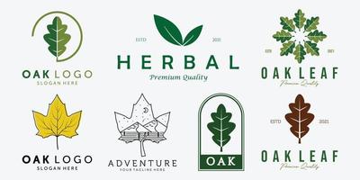 Set Bundle of Oak Leaves Leaf Vintage Line Art Vector Logo, Illustration Design of Nature Medicine Concept