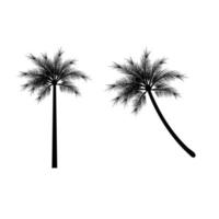 Palm Tree Logo. vector