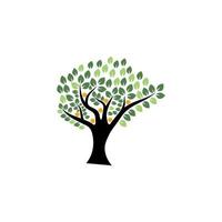 Family Tree Logo vector