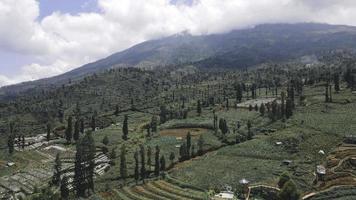 vista aérea del valle de la montaña con paisajes verdes en el volcán sindoro foto