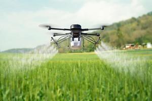 Drone spraying pesticide on wheat field. photo