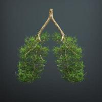 The tree grows in the form of a human lung. photo