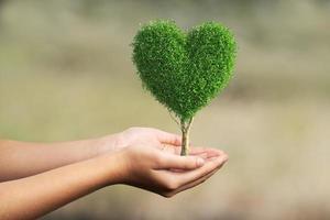 árbol en forma de corazón en la mano humana sobre fondo borroso foto