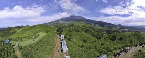 Aerial view of tea plantation in Kemuning, Indonesia with Lawu mountain background photo