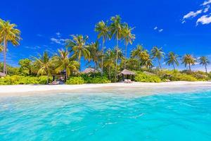 Tropical resort hotel beach paradise. Amazing nature, coast, shore. Summer vacation, travel adventure. Luxury holiday landscape, stunning ocean lagoon, blue sky palm trees. relax idyllic inspire beach photo