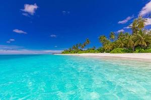 Maldives island beach. Tropical landscape of summer scenery, white sand with palm trees. Luxury travel vacation destination. Exotic beach landscape. Amazing nature, relax, freedom nature template photo