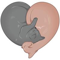 Ilustración de gatos en forma de corazón vector