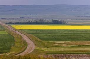 Country road and farmlands photo