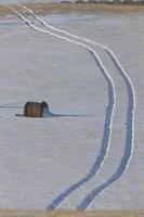 Hay Bale and tractor tracks photo