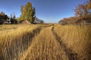 Old Rustic Granary photo