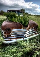 Vintage Farm Trucks photo