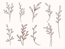 hand drawn decorative leaves and flower vector