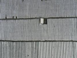 White spunbond rows on a farm field. Protective coating for corps and plants. Spunbond agrofibre row coverings and tunnels. photo