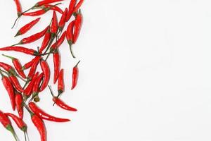 Raw red pepper, bunch of chili pepper on white photo