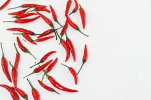 Raw red pepper, bunch of chili pepper on white photo