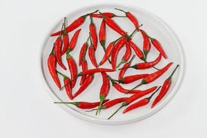 Raw red pepper, bunch of chili pepper on white photo