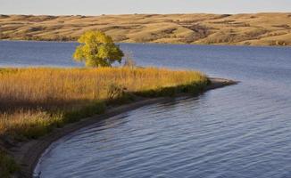 vista de otoño saskatchewan foto