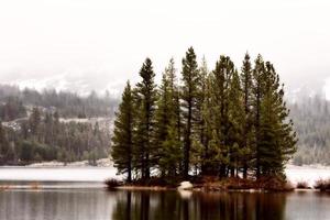 Yellowstone National Park photo