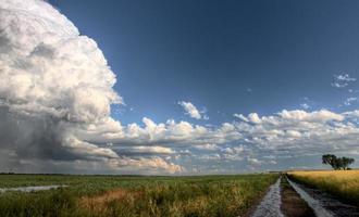 camino de la pradera nubes de tormenta foto