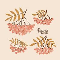 Set of rowan branches with red berries and yellow leaves. Hand drawn vector isolated illustration in soft pastel colors.