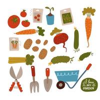Set of vegan, farm, organic food elemenst. Hand drawn colorful doodle vegetables with seeds and garden tools. Vegetables flat vector icons cucumber, carrot, beet, tomato.