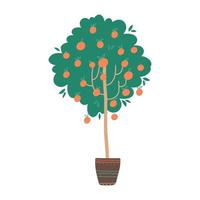 Potted Orange tree with fruits. Vector hand drawn illustration in a flat style isolated on white background.