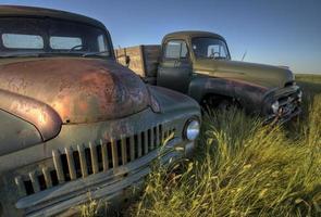 Vintage Farm Trucks photo