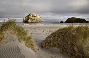 Farewell Spit New Zealand photo