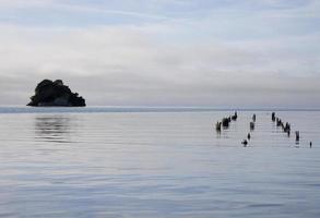 Cook Strait Collingwood New Zealand photo