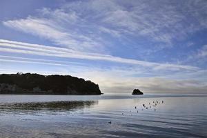 Cook Strait Collingwood New Zealand photo