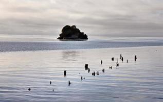 Cook Strait Collingwood New Zealand photo