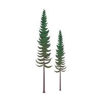 Realistic dense green fir trees on white background - Vector