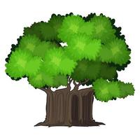 Realistic green oak tree isolated on white background - Vector