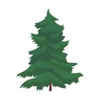 Realistic dense green spruce isolated on white background - Vector