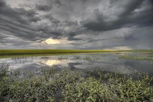 Slough pond and crop photo