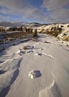 Yellowstone Park Wyoming Winter Snow photo