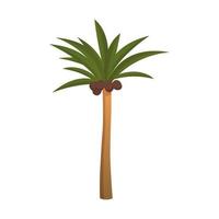 Realistic tall green palm tree isolated on white background - Vector