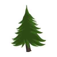 Realistic green spruce isolated on white background - Vector