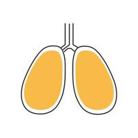 Stylish thin line lungs icon on white background - Vector