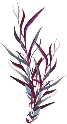 Watercolor leaves.Elements of nature.Vector.