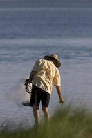 Beachcomber in Florida photo